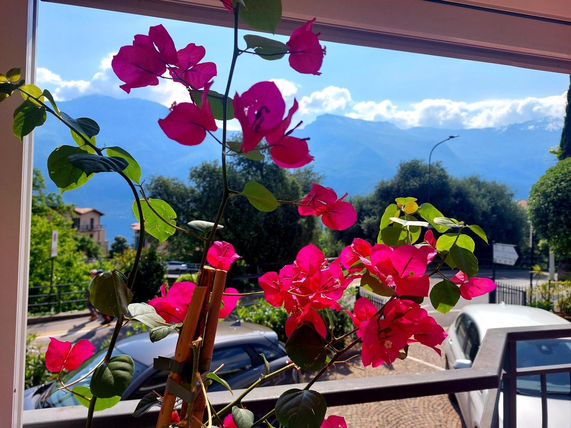 Hotel Villa Grazia 리몬네술가르다 외부 사진
